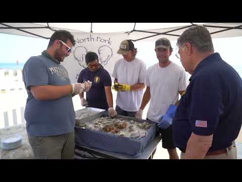 Suffolk Oyster Jamboree