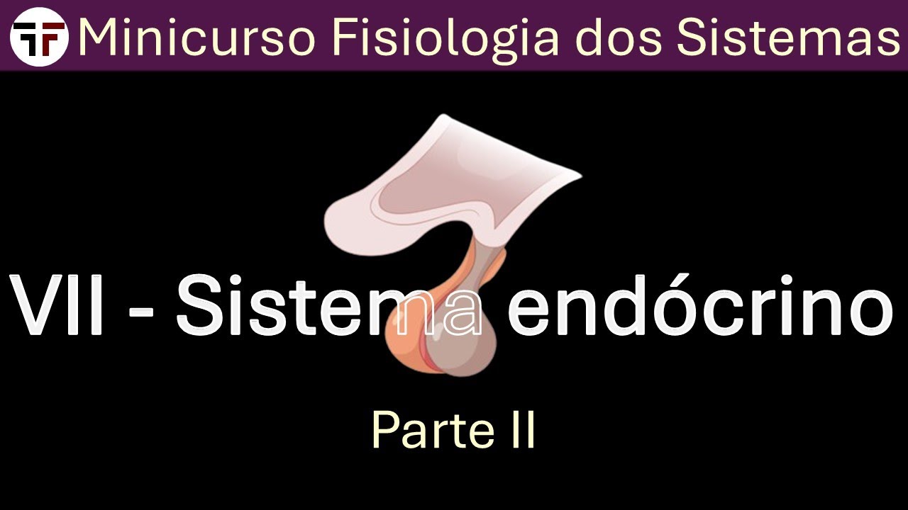 Sistema endócrino II - Minicurso fisiologia dos sistemas