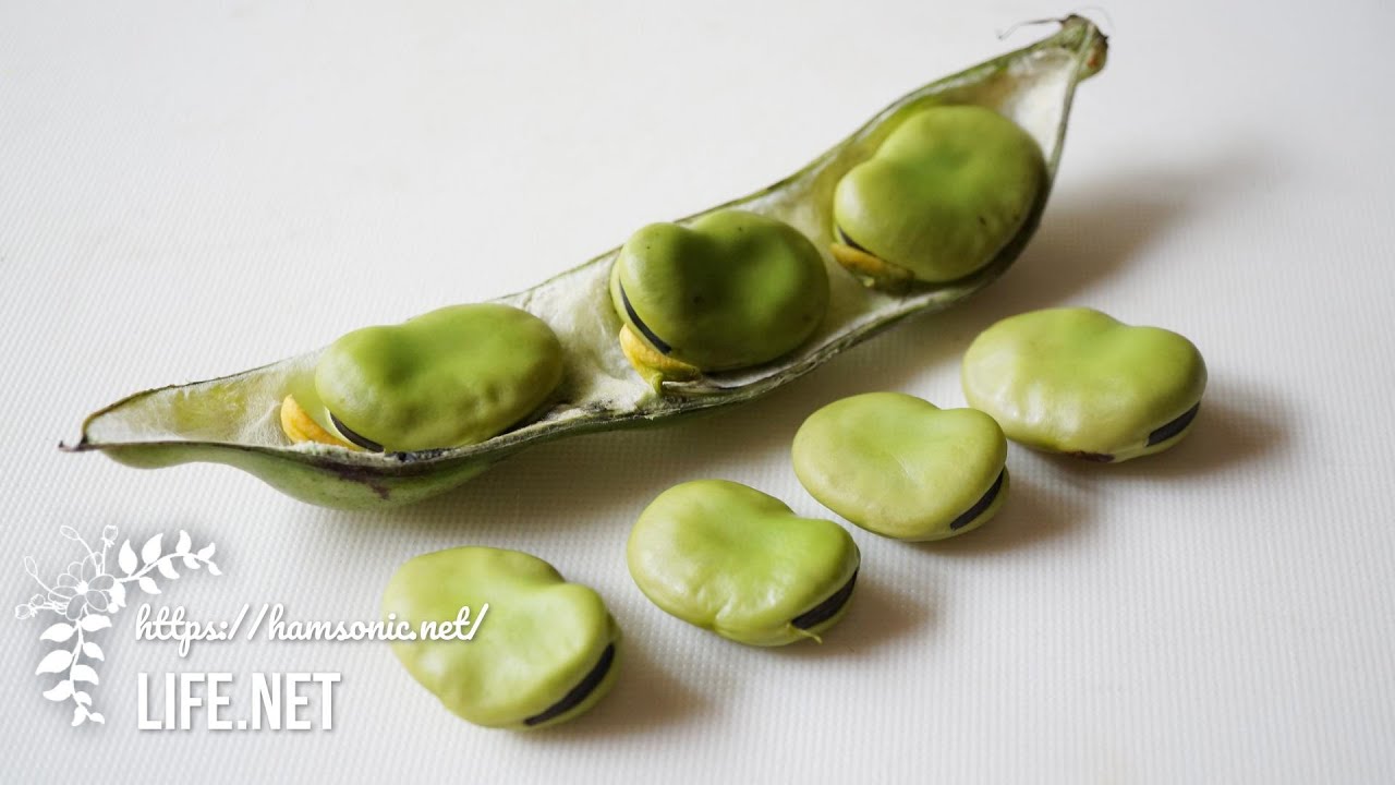 ガッテン流そら豆の茹で方【ホクホク・しっとりの食感別見分け方と茹で時間を紹介】