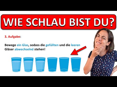 🚀🚀🚀 Teste deinen IQ! | Drei Logik Fragen aus einem Intelligenz Test!