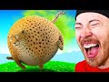 FUNNY Animal Animations YOU WILL LAUGH