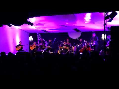 Bloque Depresivo en Puerto Montt. El Bongocero e Isla de Errores