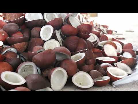 Sun dried coconut-sukha khopra, for extracting coconut oil, ...