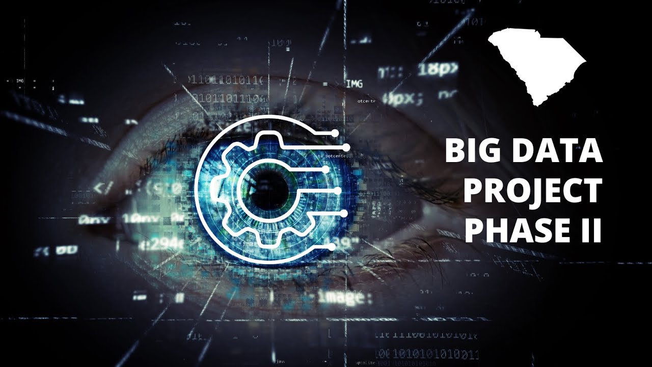 SC Working Age Blindness and Low Vision Big Data Project Report – Phase II