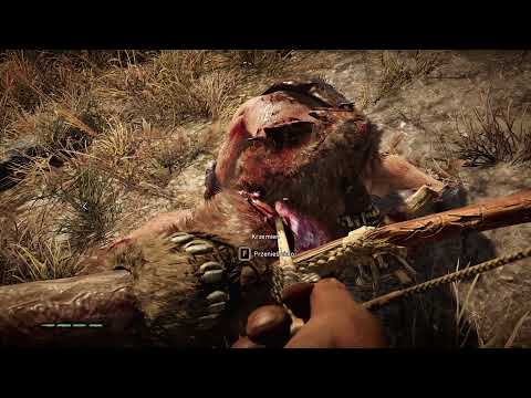 Zagrajmy w Far Cry Primal odc.20 Kolejne stosy oczyszczone