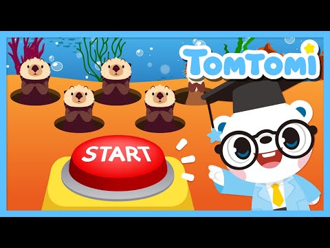 Guessing the Similar but Different Animals❓❗ | Let's play animal games! | Animal quiz⭐ | TOMTOMI