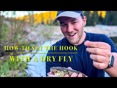 How to Set the Hook with a Dry Fly On a Lake