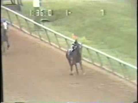 1979 - Spectacular Bid