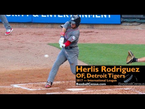 Herlis Rodriguez, OF, Detroit Tigers