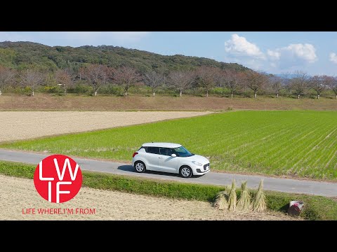 日本での運転とは (What Driving in Japan is Like)