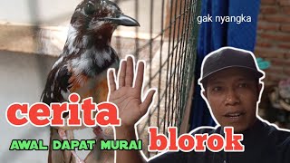 Download lagu The Story of How I Unexpectedly Got a Blorok Murai mp3