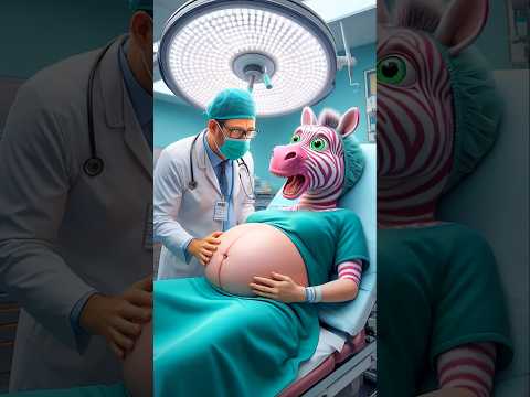 ❤️ Evolution of Catapillar: Zebra admit in hospital with doctor 👶 19 #cat #cute #love #shorts
