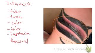 ¿Me Debería Hacer Tatuajes?