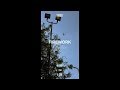 Bobby - Firework (Phone Version)