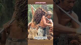 Download lagu Perjuangan seorang Ayah demi anaknya #perjuangan #ayah #short mp3