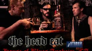 The Head Cat (Lemmy Kilmister) ~ Peggy Sue got married