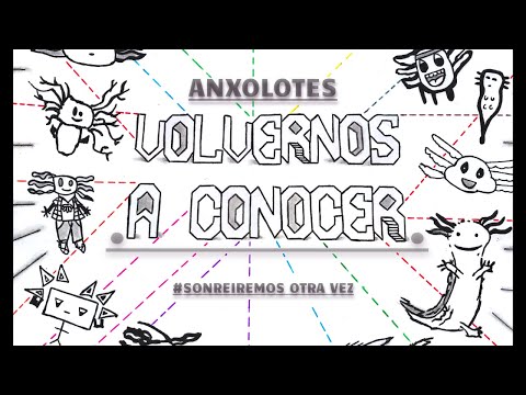 Volvernos a Conocer