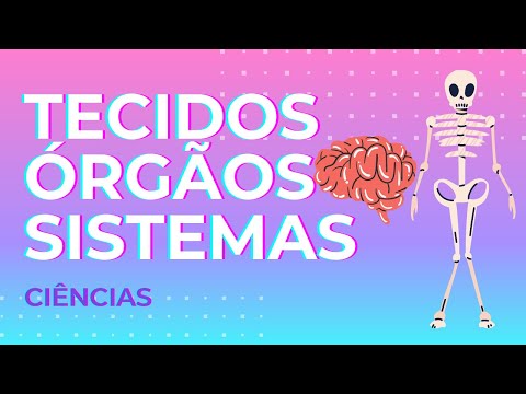 TISSUES, ORGANS AND SYSTEMS