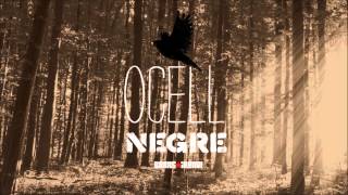 BarraLliure! - Ocell Negre [2013] - Versos d'Uniforme