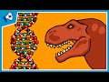 What is DNA and How Does it Work? 