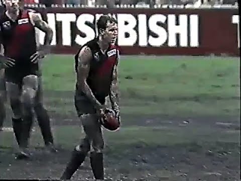 1989 Rnd 11 Essendon v Geelong  Queen's Birthday