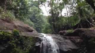 preview picture of video 'meenvallam waterfalls palakkad'