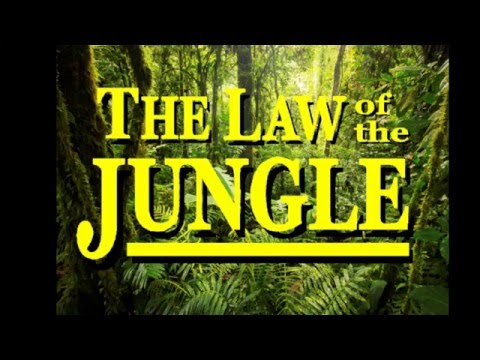 The Jungle Book - The Law of the Jungle