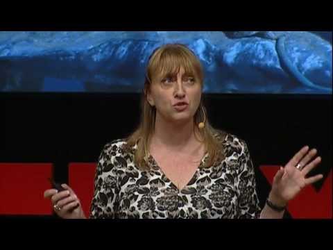 TED】Dyan deNapoli.大いなるペンギンの救出 (Dyan deNapoli: The great penguin rescue) (【TED】Dyan deNapoli: The great penguin rescue (Dyan deNapoli: The great penguin rescue))