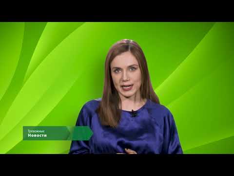 ЭкоНовости. Тревожные новости. Росприроднадзор оценил ущерб экологии на 235 миллиардов рублей