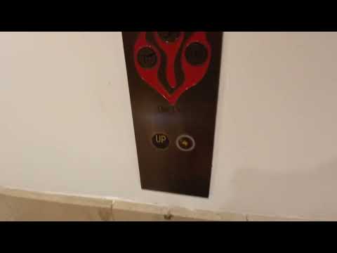 Montgomery traction elevators at Nordstrom at The Westchester mall (White Plains, NY)