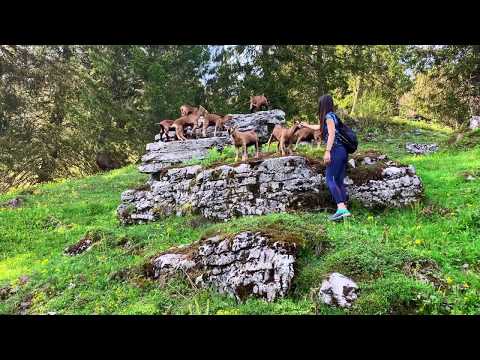 Mountain Hiking Glarus Oberblegisee Switzerland
