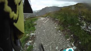 Antur Stiniog Red (Wild Cart) Downhill