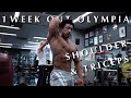 OLYMPIA PEAK WEEK！肩・三頭トレーニング