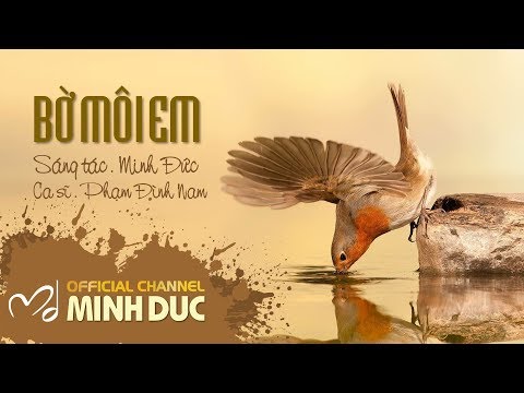 Thể hiện bởi Phạm Đình Nam