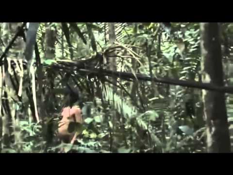 Perú, tribù di popoli incontattati esce allo scoperto