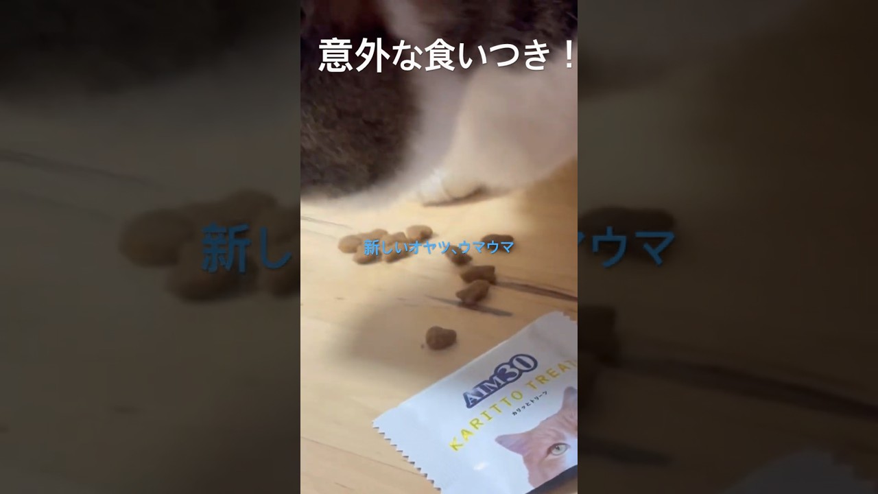 AIM30 カリッとトリーツ たかんぼの反応