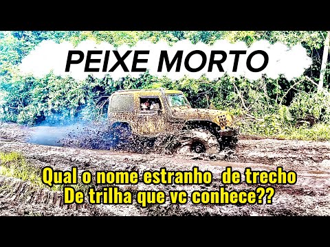 Clandestina Bataguassu EP 04 2025 - Peixe Morto Fede Mesmo.