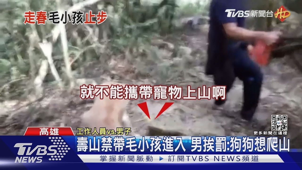 國家公園全「禁帶毛孩」!竟剩「這個地方」有條件開放