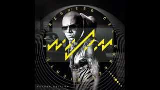Wisin - Piel Con Piel