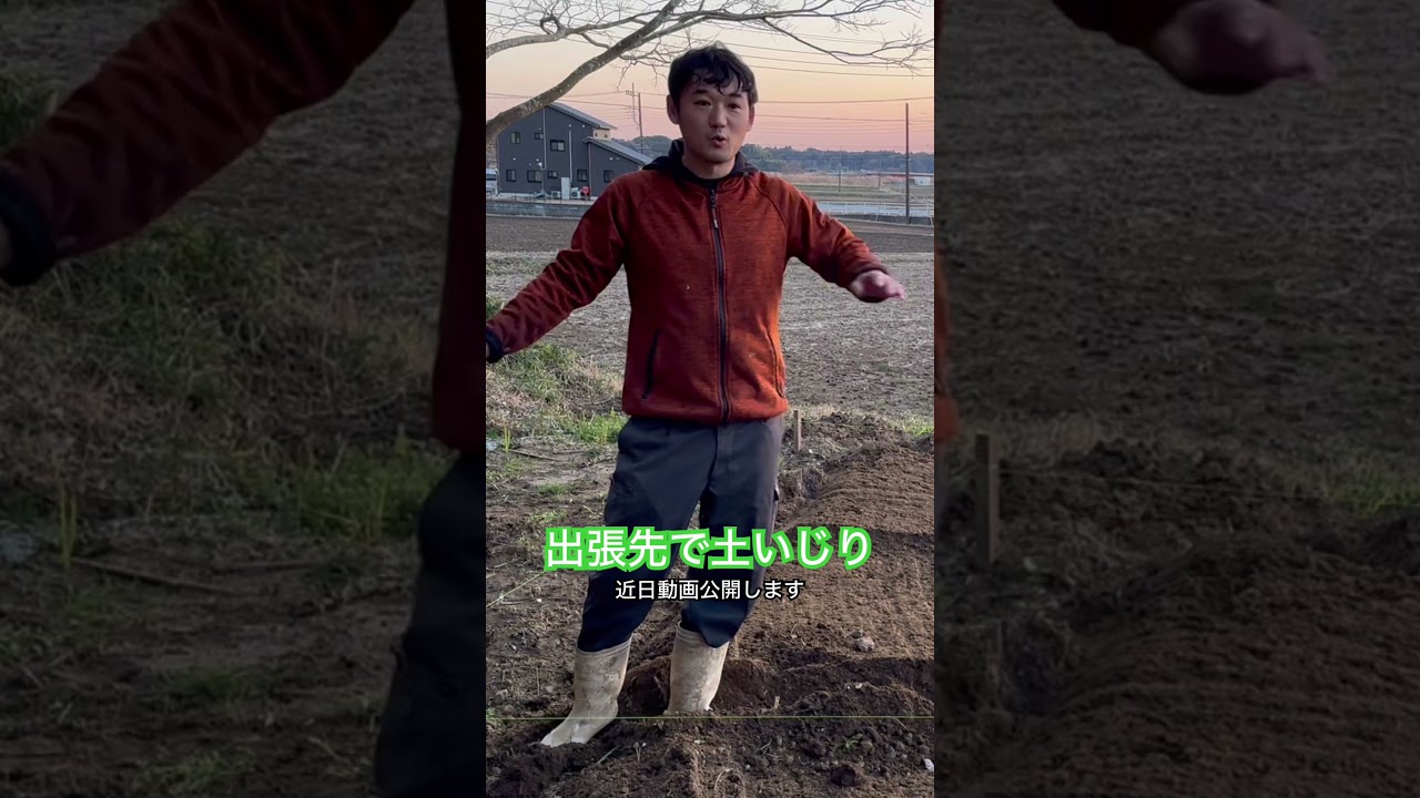 出張先で土いじり