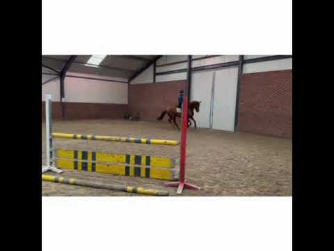 Jillz-Wuranta APACHE x ROUSSEAU - Video 5 video thumbnail