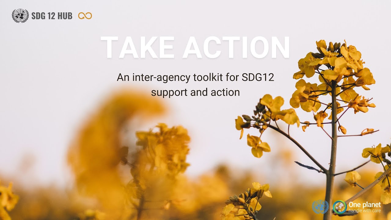 Take Action - an inter-agency toolkit for SDG12 support and action