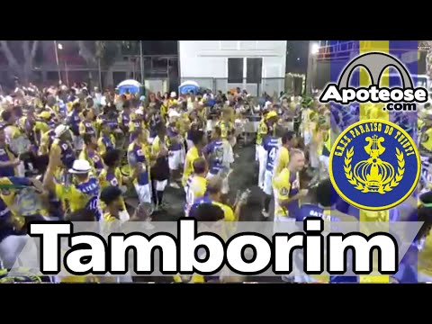 Tuiuti 2015 - Desenho de tamborim - Ensaio técnico