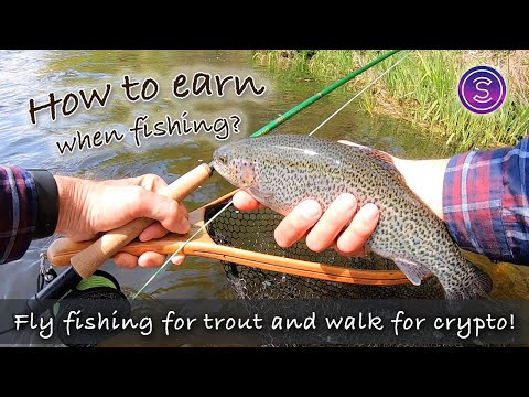 Fly fishing for TROUT and walking for CRYPTO! How to earn money when fishing?