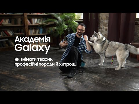 Samsung Galaxy S23 Ultra: Крутые трюки для фото с животными