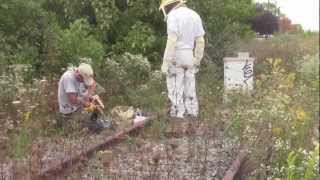 Beekeepers transform local space with hives