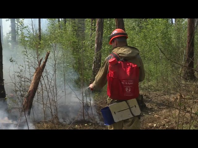 Лесные пожары