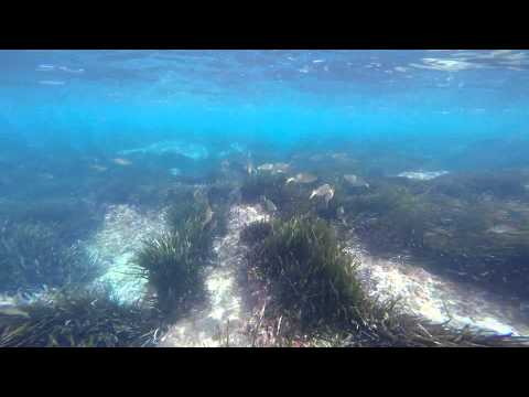 Strand von Cala Capitan in Torrevieja, Cabo Roig Unterwasserkamera GoPro 4