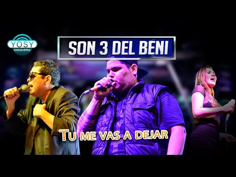 🎬 12. Tu me vas a dejar - Orquesta Son 3 [9no FEST] 🎺