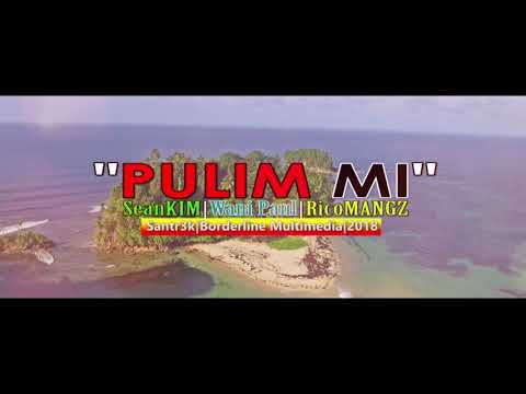 PULIM MI_SeanKim ft Wani Paul & RicoMangz